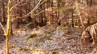 0gpm29tudn43ousmol5bc_source.mp4