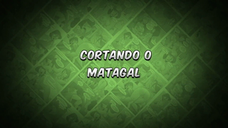 04 - Cortando o matagal.mp4