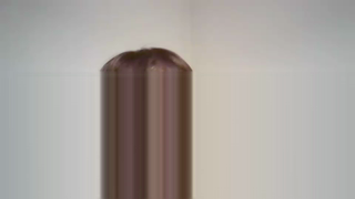 CAM4.2022.01.20_17.21.38_puffacurvy.mp4