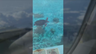 21 えっちな2泊3日のリゾート旅行行ってきたよ🏝️いつもより興奮してたらしくて、死ぬほど犯されてます。。.mp4