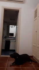 CAM4.2021.11.10_15.52.34_belletette93.mp4
