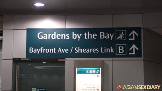 asd-2015-09-22-singapore-Nat - Bay park – September 22, 2015.mp4