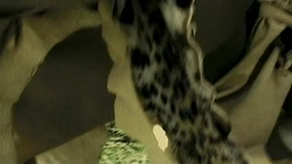 Amazone Sex сц (1).mp4