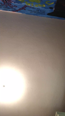 CAM4.2021.12.08_15.04.02_fabiola99.mp4