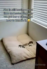 75982859_my-thumb-is-just-about-healed-and-i-m-planning-to-attack-my_1.m4v