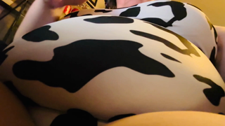1801657251_your-big-fat-jiggly-cow-brought-to-you-by-the-feeder-who-ju_0.mp4