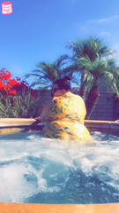 8148624_flashback-to-this-summer_0.mp4