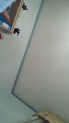 CAM4.2022.02.15_21.46.55_angy93__.mp4