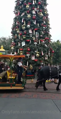 227856192_i-will-be-updating-this-through-the-day-in-disneyland-an_4.m4v