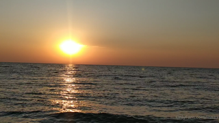 180556000__1.m4v