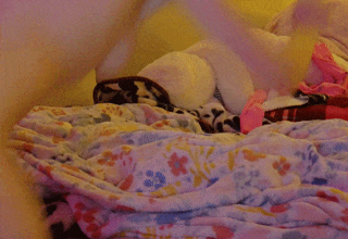 701250031310614529__3.gif