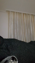 CAM4.2022.02.08_19.07.47_saretta23.mp4