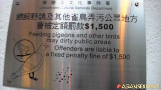 asd-2013-11-18-hong-kong-Bird garden – November 18, 2013.mp4