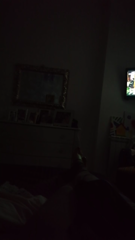 CAM4.2021.10.19_14.23.18_dolcealba86.mp4