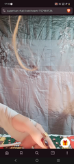 Screenrecording_20261014_171019.mp4