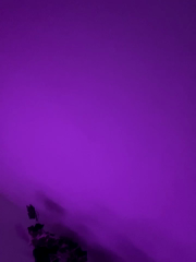 AlyssaHottv__2025-11-23_09-10-41_690.mp4