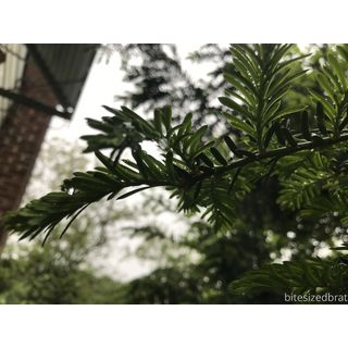 3840x2880_1bd9764ea2853ce3b25d59423db1d22e.jpg