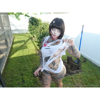 pictures