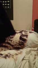 CAM4.2022.01.14_17.48.01_spettinata.mp4