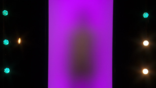 Naked.Attraction.Vlaanderen.S01E03.1080p.mkv
