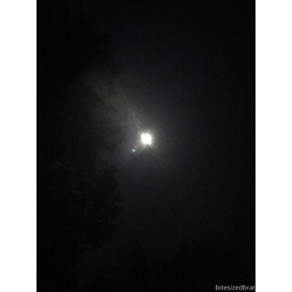 3024x4032_f72a7800df94c99cd8f5e71dbd4bd217.jpg