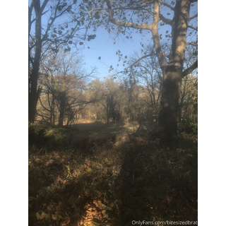 3024x4032_994fe168dc394e537162e8480a7dce34.jpg