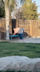 268577918_just-watchin-bae-work_0.m4v