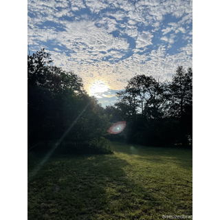 3024x4032_800f4c88cc1bf50db0ff40212655cfc1.jpg