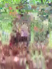 AlyssaHottv__2026-08-01_08-41-02_161.mp4