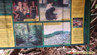 asd-2016-04-05-koh-samui-thailand-Gibbons Koh Samui – April 5, 2016.mp4