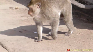 asd-2015-08-23-siam-reap-cambodia-Aline - Angkor – August 23, 2015.mp4