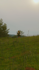121ef723e369b0bf546da2aa2afbccbd.mp4