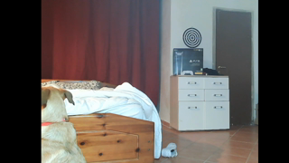 CAM4.2021.11.10_01.10.33_dirtydoll8.mp4