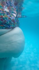1174769474_all-my-floating-fat-is-so-bouncy-underwater_0.mp4