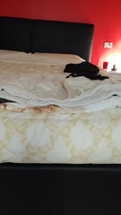 CAM4.2021.11.02_17.17.24_spettinata.mp4